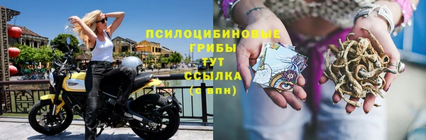 бутират Горнозаводск